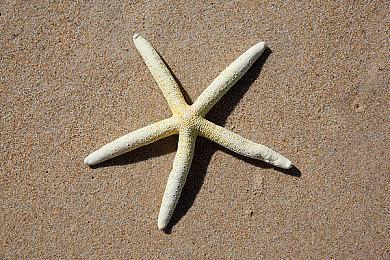 《三角洲行动》全新赛季“焰火”1月15日上线