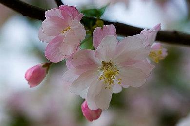 MachineGames或已暗示《雷神之锤6》